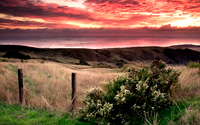 Big_Sur20B