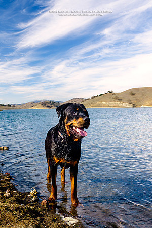 Morgan-Hill_0336