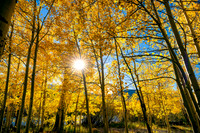 Colorado_09280