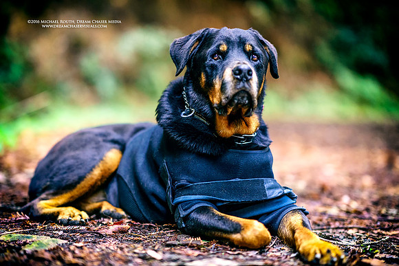 Morgan-Hill_9575