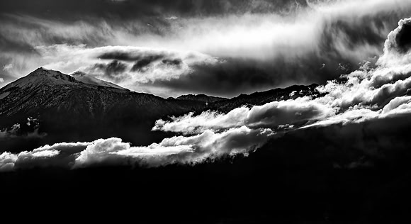 Carson_0220-2