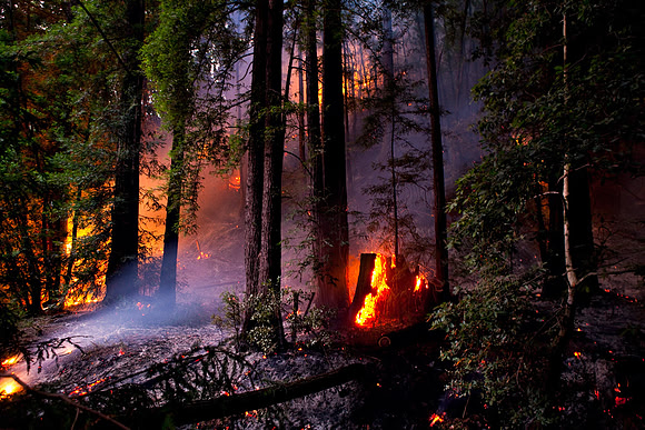 CAL_FIRE_6444