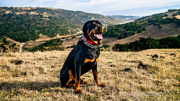 RX-Coyotee-Creek_0302