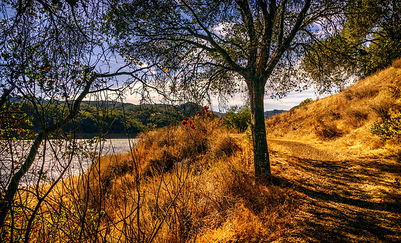 Morgan-Hill_0651