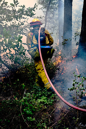 CAL_FIRE_6014