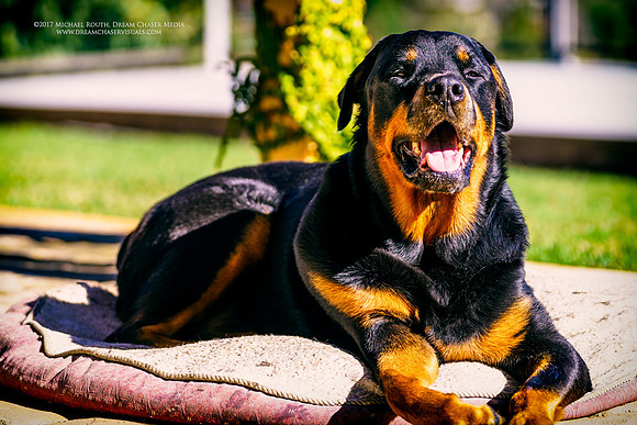 Morgan-Hill_09842