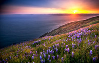 Big-Sur_0729