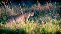 Point-reyes_01837-2