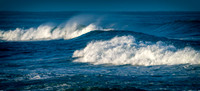 Point-Reyes_01134