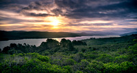 Point-Reyes_02300
