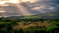 Point-Reyes_02019