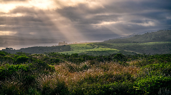 Point-Reyes_02019