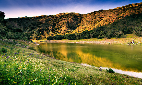 Morgan-Hill_9907