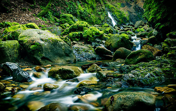 Morgan-Hill_3798