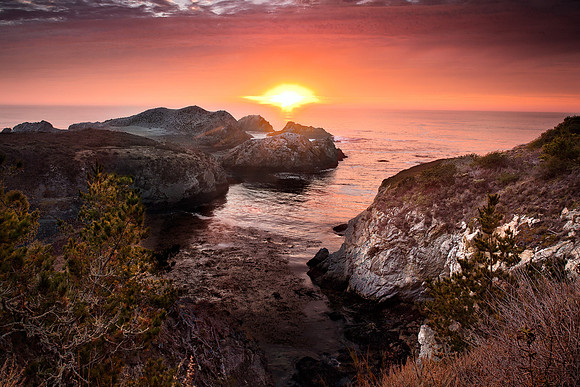 Point_Lobos_4952