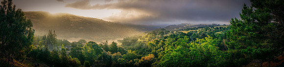 Morgan-Hill_3683