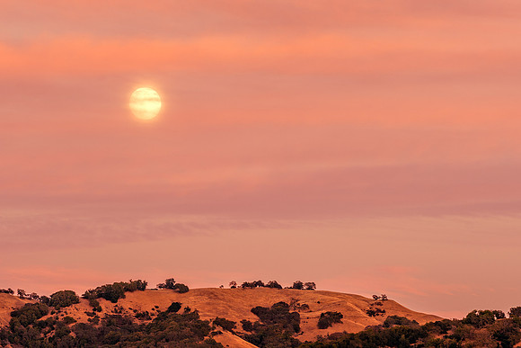 Morgan-Hill_0697