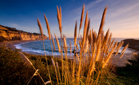 Santa_Cruz_Coast_1487