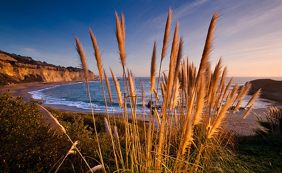 Santa_Cruz_Coast_1487