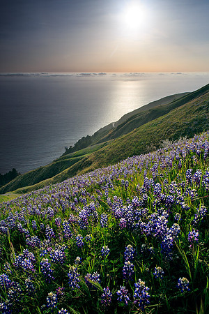 Big-Sur_4667
