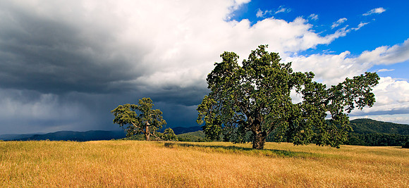 Morgan-Hill_0989