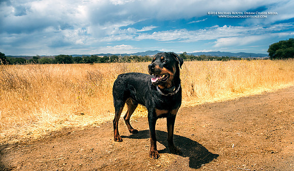 RX-Morgan-Hill_0484