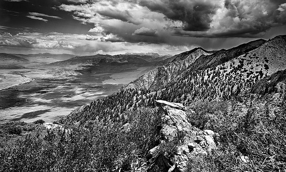Sierra_4959_BW