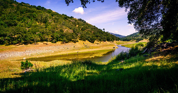 Morgan-Hill_3861