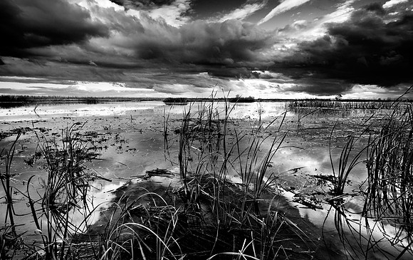 Merced_8532