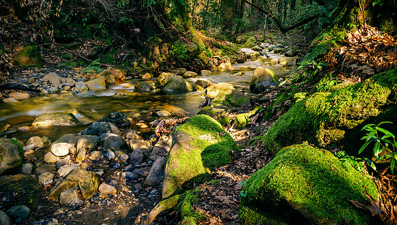Morgan-Hill_3780
