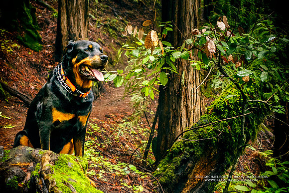 RX-Morgan-Hill_2913
