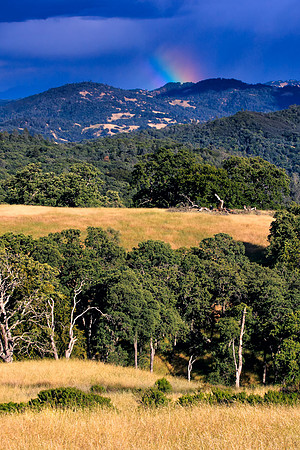 Morgan-Hill_1045A