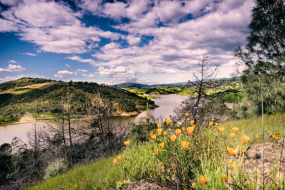 Morgan-Hill_0241