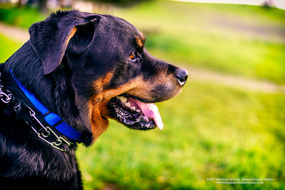 Morgan-Hill_0665