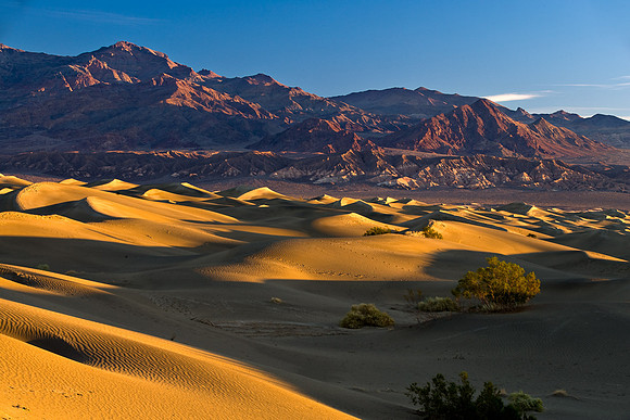 Death_Valley-0353