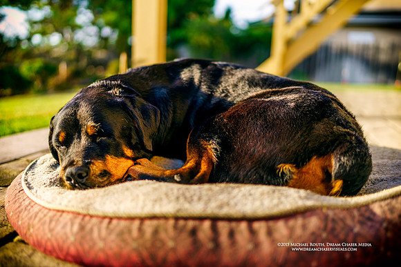 Morgan-Hill_0249