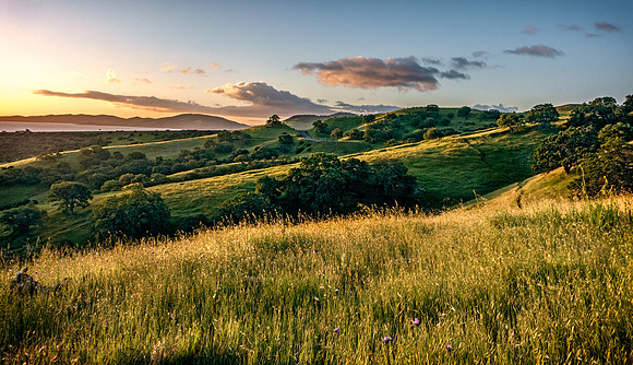 Morgan-Hill-RX_3066