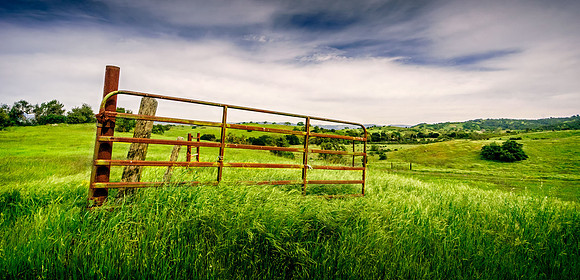 Morgan-Hill_2457