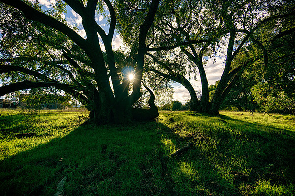 Morgan-Hill_0636