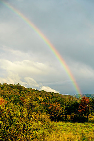 Morgan-Hill_2374