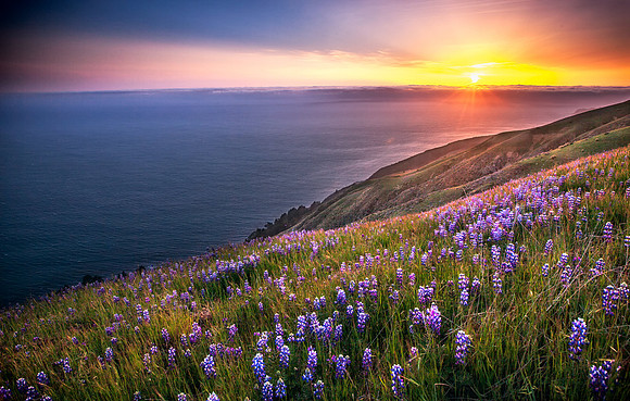 Big-Sur_0729
