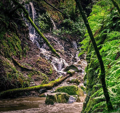 Morgan-Hill_1303