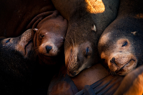 Santa_Cruz_Coast_8397