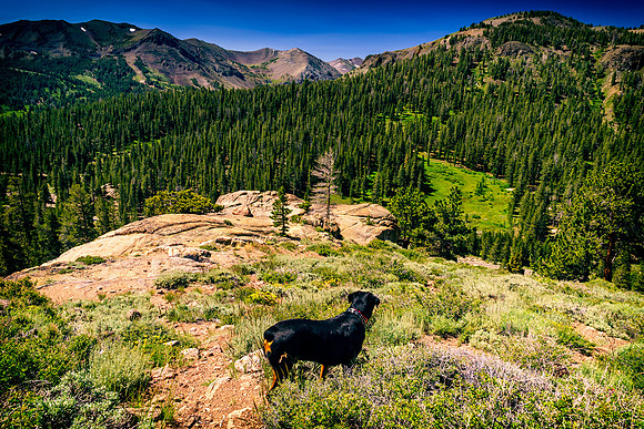 Sierra_6950