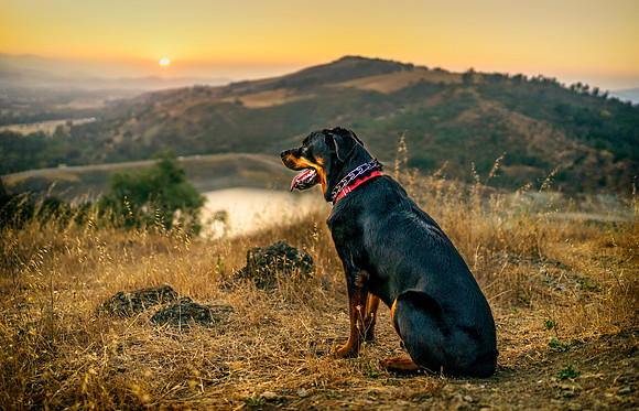 Morgan-Hill_3067