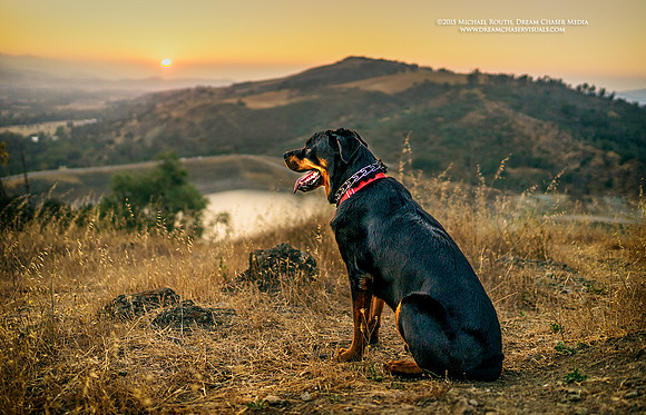 Morgan-Hill_3067