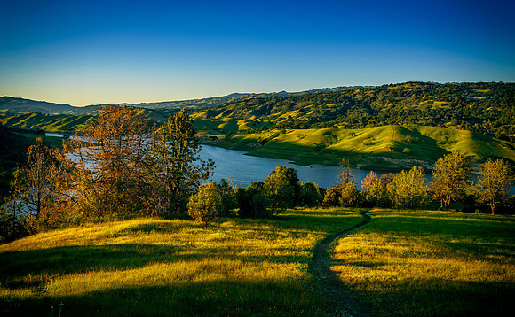 Morgan-Hill_2643