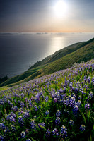Big-Sur_4667