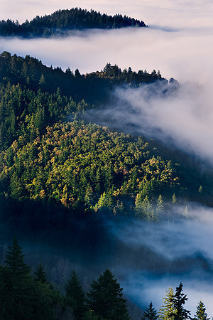 Santa_Cruz_Mnts_9597