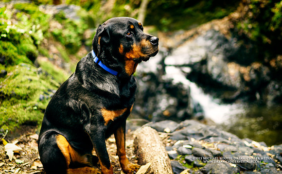 Morgan-Hill_0323